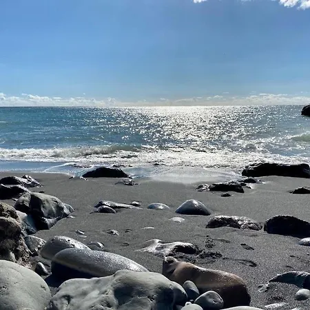 Lägenhet The Vibe Madeira 2 *